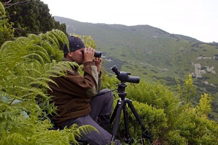 XII. ročník monitoringu medveďa hnedého v NP Malá Fatra
